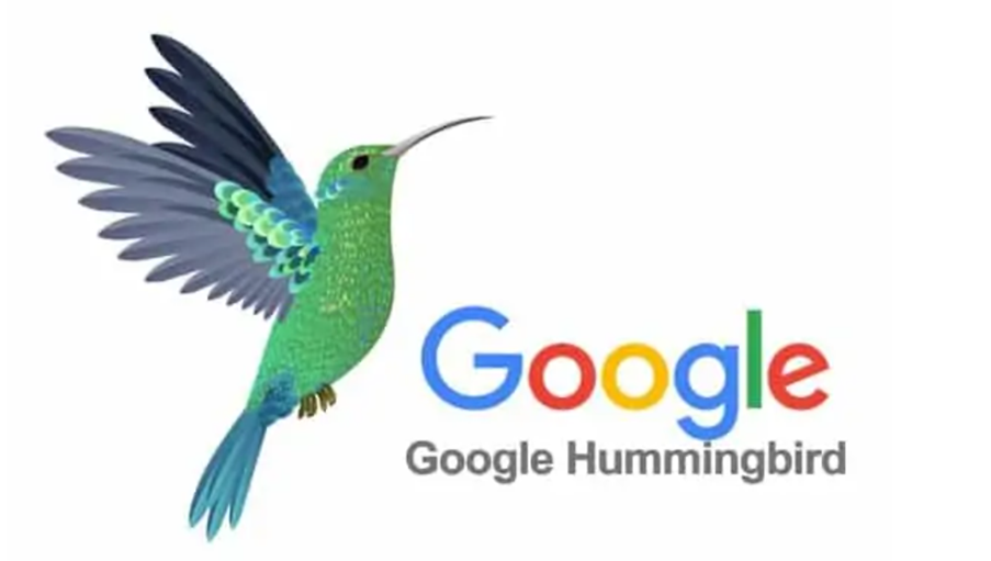 thuật toán google hummingbird